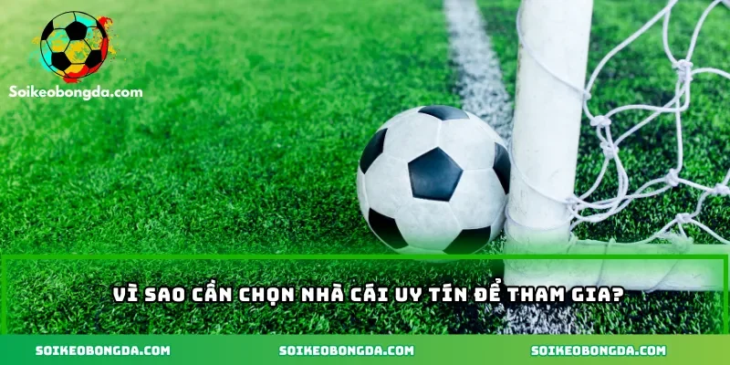 Nhà cái uy tín cá độ bóng đá được giới chuyên môn tín nhiệm 1 Lý do chọn nhà cái uy tín hiện nay