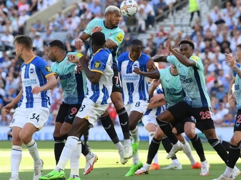 soi-keo-brighton-vs-newcastle-21h-18-10-1